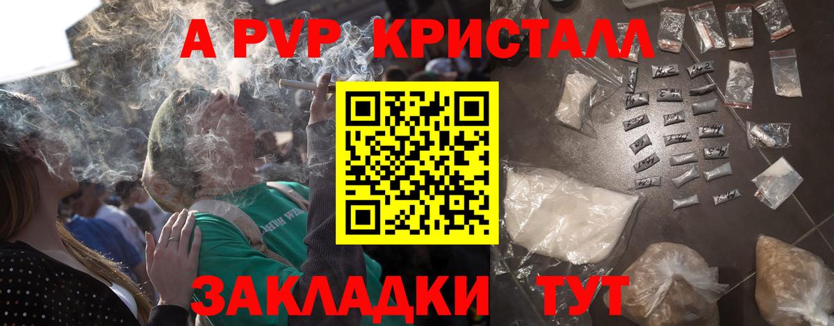 A PVP крисы CK  А ПВП СК КРИС  Альфа ПВП СК КРИС  A PVP  Вход с VPN  Каменск-Шахтинский 
