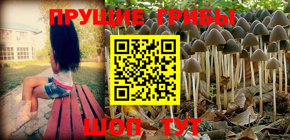 Галлюциногенные грибы Magic Shrooms  Вход с VPN  закладка  Каменск-Шахтинский 